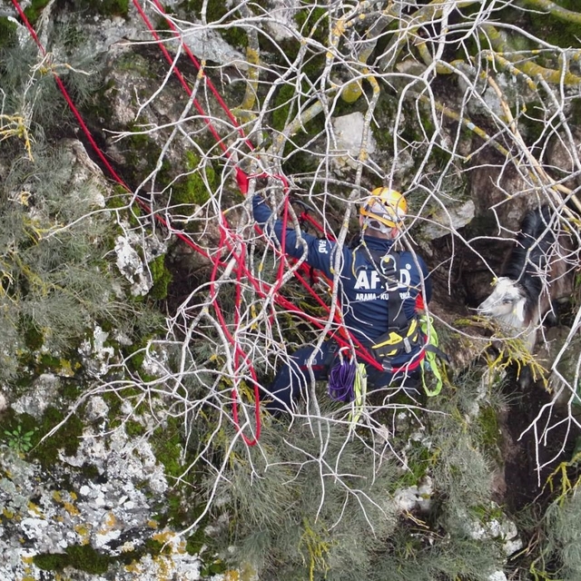 Dağda mahsur kalan keçi kurtarıldı