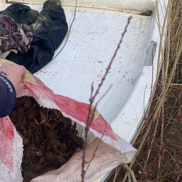 Kırşehir'de kaçak yollarla balık avlayan şüpheliye idari ceza