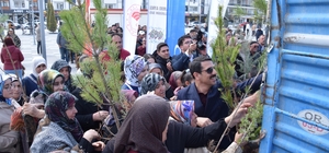 Karapınar’da ağaçlandırma etkinliği