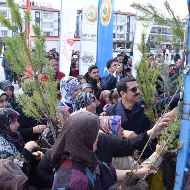 Karapınar'da ağaçlandırma etkinliği
