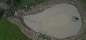 Göletin suyu boşalınca balıklar açıkta kaldı