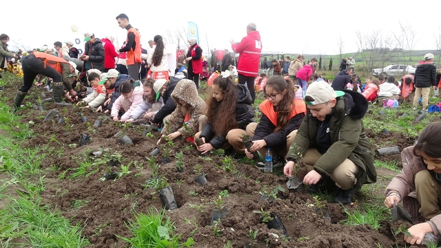 Bafra'da minik eller 3 bin fidanı toprakla buluşturdu