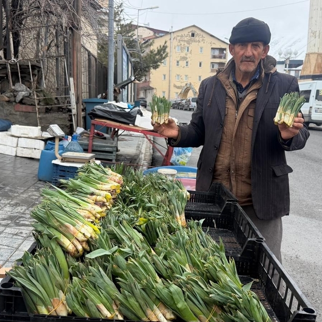 Hakkari'de yılın ilk pancarları tezgâhlarda yerini aldı