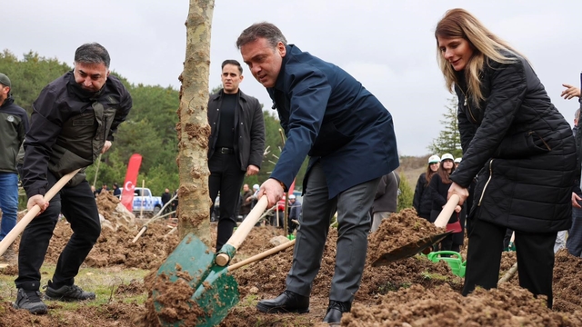 Şeyh Edebali'nin vefatının 700. yıl dönümünde 700 çınar toprakla buluştu