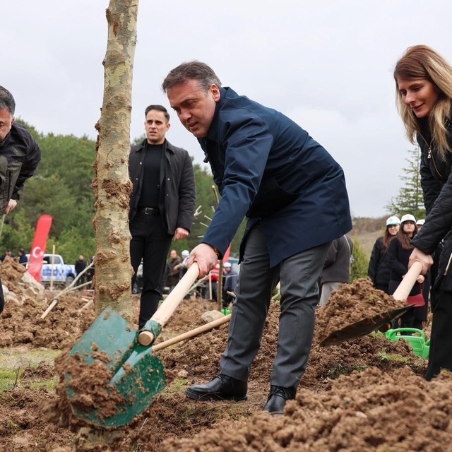 Şeyh Edebali'nin vefatının 700. yıl dönümünde 700 çınar toprakla buluştu