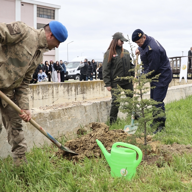 Sinop'ta toprakla buluşturulan 5 bin 700 fidan geleceğe nefes olacak
