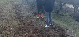 Elazığ’da tarla faresi sürvey çalışması