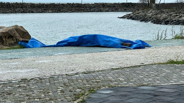 Ordu'da sahile insansız araç olduğu değerlendirilen cisim vurdu