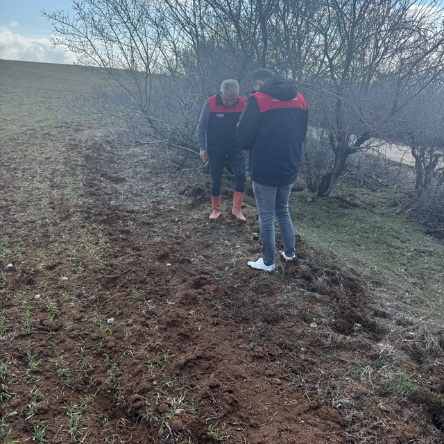 Elazığ'da tarla faresi  sürvey çalışması