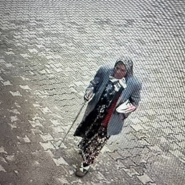 Kayıp olarak aranan 84 yaşındaki kadının cesedi bulundu