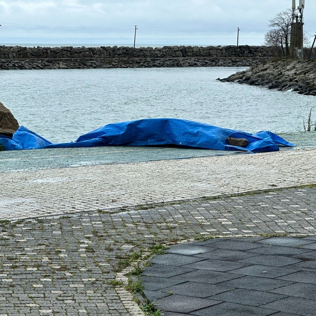Ordu'da sahile insansız araç olduğu değerlendirilen cisim vurdu