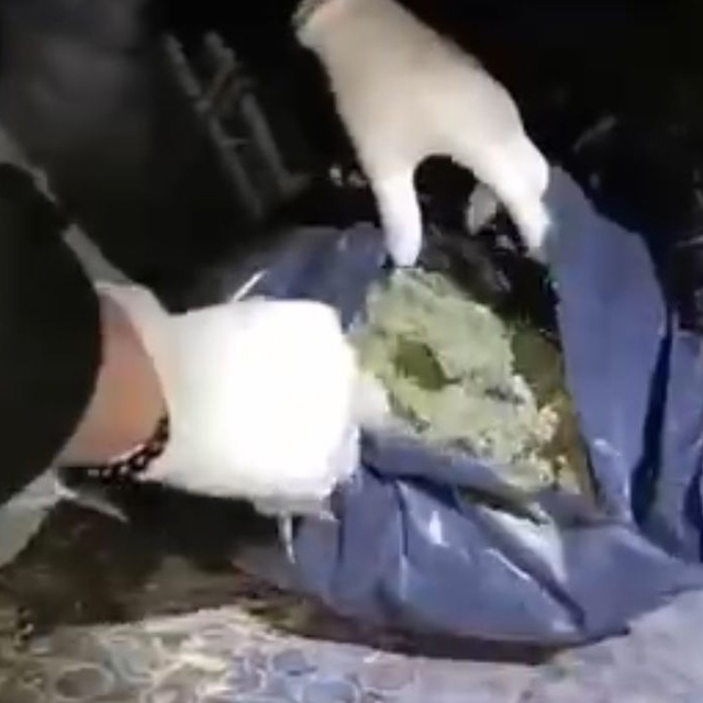 Malatya'da uyuşturucu operasyonu: 2 gözaltı