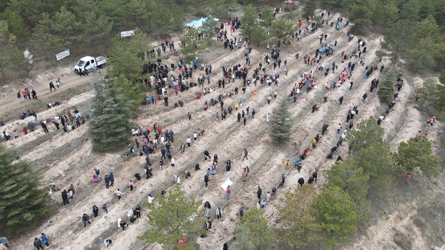 Çorum'da yüzlerce fidan toprakla buluştu