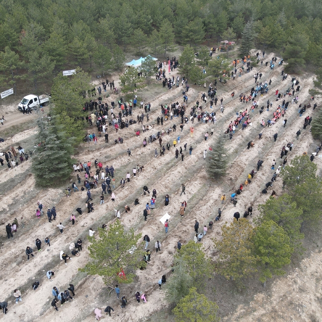 Çorum'da yüzlerce fidan toprakla buluştu