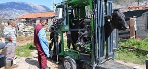 Gündoğmuşlu üreticilerin büyükbaş hayvanlarına tırnak bakım desteği