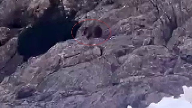 Kış uykusundan uyandı, kar üstünde yiyecek aradı