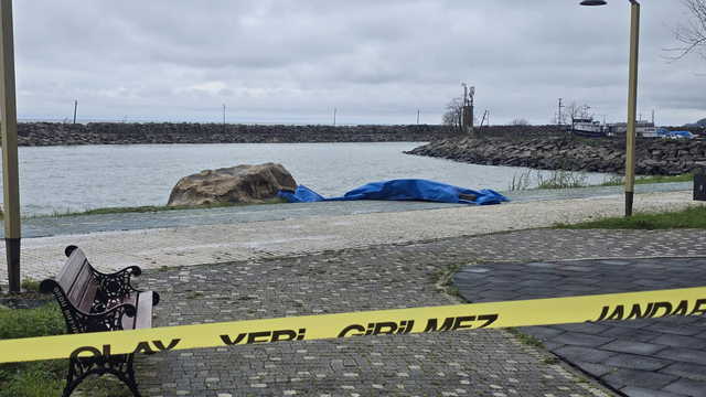 Ordu'da sahile insansız araç olduğu değerlendirilen cihaz vurdu