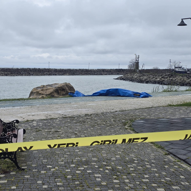 Ordu'da sahile insansız araç olduğu değerlendirilen cihaz vurdu