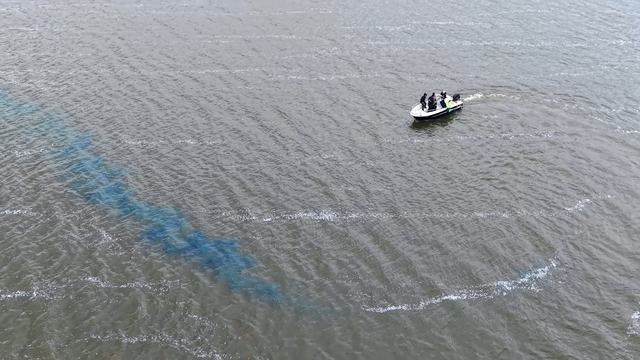 Türkmenli Göleti'nde algasid dozlama ile su kalitesi artırılıyor