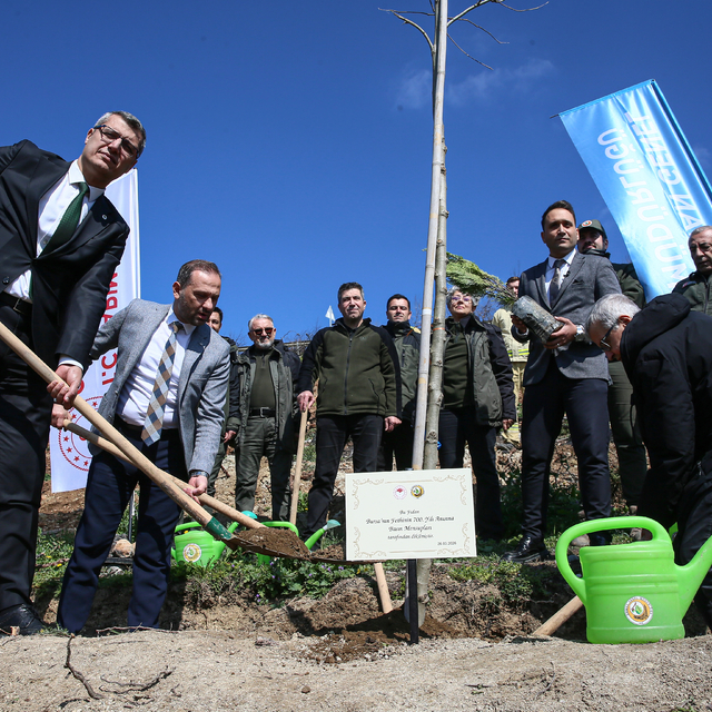Bursa'da basın mensupları yanan ormanlık alana fidan dikti