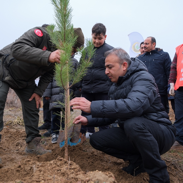 Karaman'da 6 bin fidan toprakla buluşturuldu