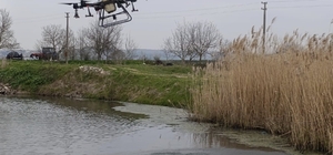 Manyas’ta sivrisinek ile mücadele seferberliği