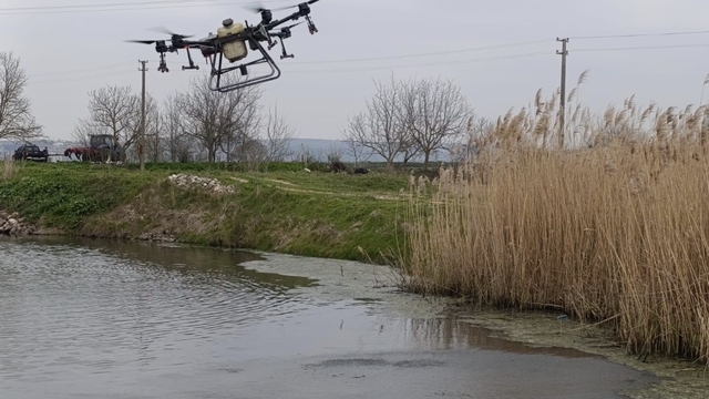 Manyas'ta sivrisinek ile mücadele seferberliği