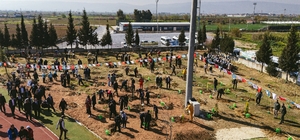 Aydın’da "Türkiye’nin Gücü Orman" programı gerçekleştirildi