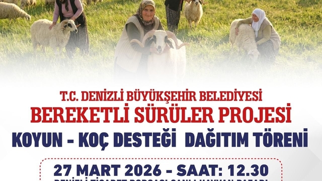 Denizli Büyükşehir 582 üreticiye 1200 adet koyun ve koç dağıtacak