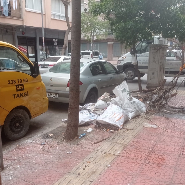 Akdeniz'de temizlik çalışmaları üç vardiya sürüyor
Başkan Vekili Zeyit Şene...