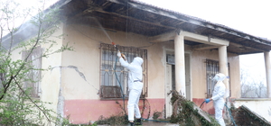 Kahverengi kokarcalar kışlaklardan çıkmadan imha ediliyor