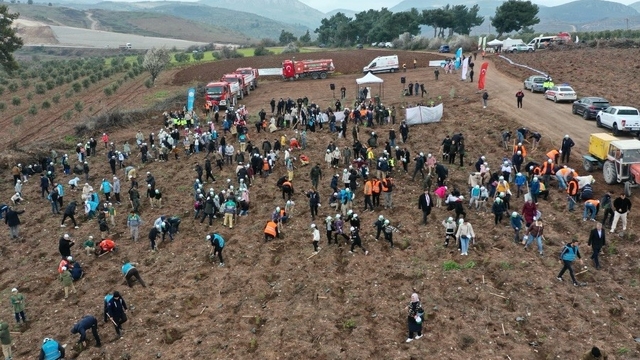 Manisa'da Orman Haftası'nda binlerce fidan toprakla buluştu