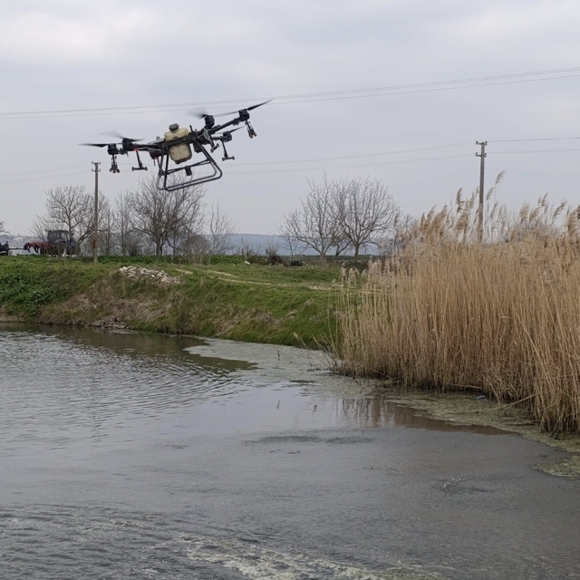 Manyas'ta sivrisinek ile mücadele seferberliği