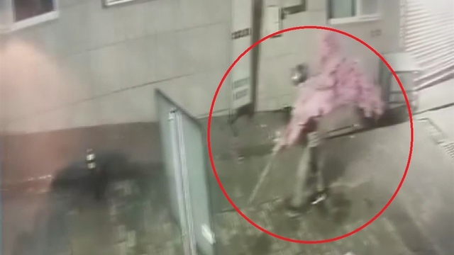 'Bir kafeden daha fazlası' yazısını fark etti, ağacı sırtlayıp gitti O anlar kamerada
Montajı işletme sahibi yaptı , demontajı hırsız
Süs ağacını söküp kayıplara karıştı