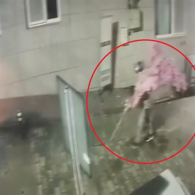 'Bir kafeden daha fazlası' yazısını fark etti, ağacı sırtlayıp gitti O anla...