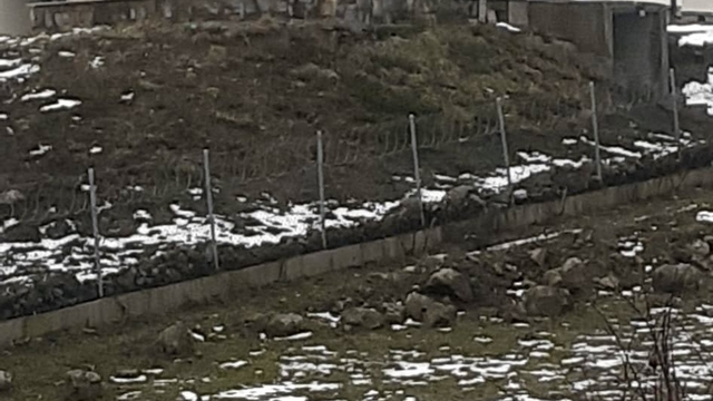 Göç yolculuğundaki leylekler Sakarya'da mola verdi