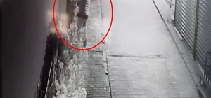 Süs ağacı çalınan iş yeri sahibi: Özür dilerse şikayetçi olmayacağım