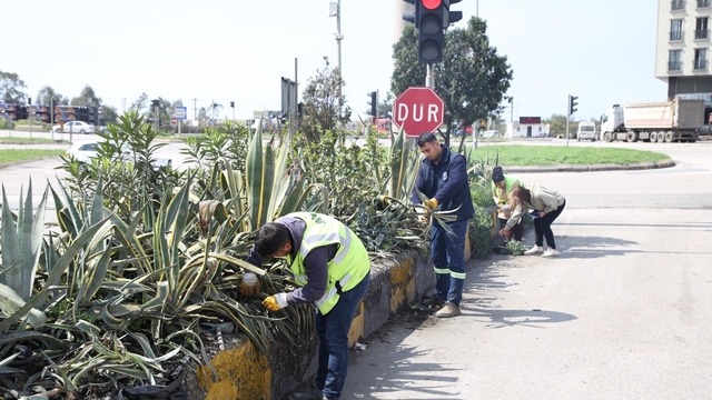Hatay Büyükşehir Belediyesi bitkide dışa bağımlılığı en aza indirmeyi hedefliyor