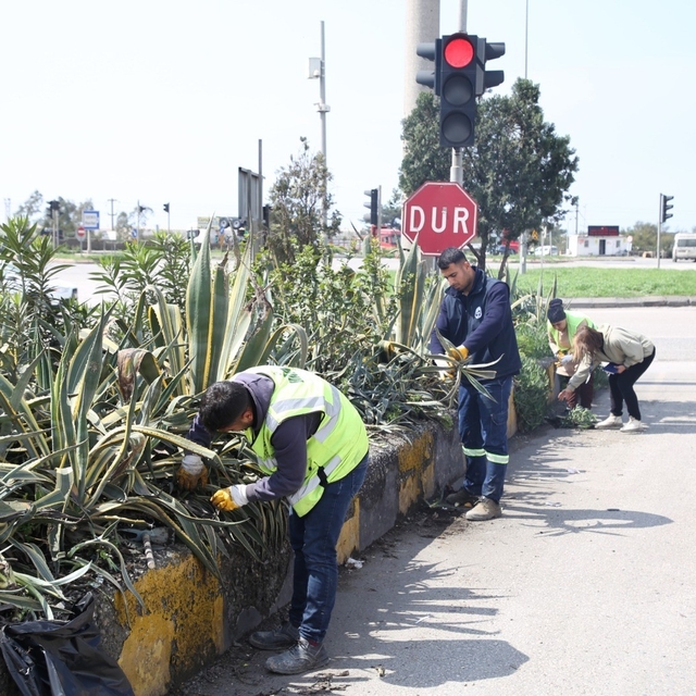 Hatay Büyükşehir Belediyesi bitkide dışa bağımlılığı en aza indirmeyi hedef...