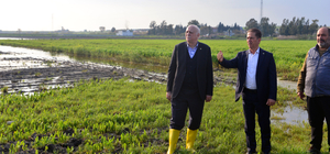 TZOB Genel Başkanı Bayraktar: Adana'da 36 bin 566 dönüm tarım alanı su altında kaldı