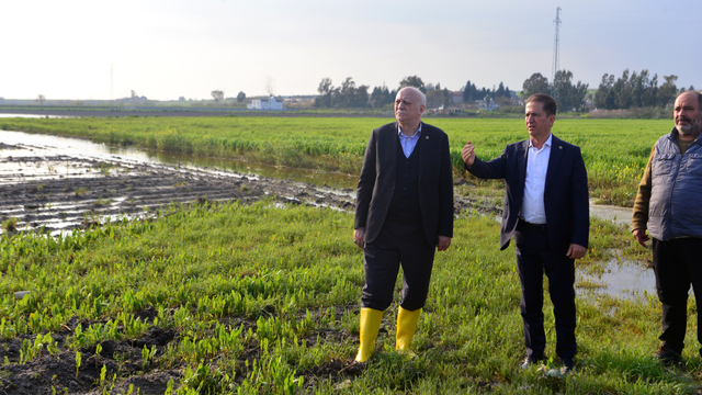 TZOB Genel Başkanı Bayraktar: Adana'da 36 bin 566 dönüm tarım alanı su altında kaldı