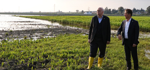 TZOB Genel Başkanı Bayraktar, Adana'da sağanaktan etkilenen bölgelerde incelemelerde bulundu