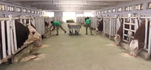 Malatya TİGEM'de şap hastalığı; bölge karantinada