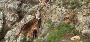 Uçurumdan düşen köpek 4 saatlik çalışmayla kurtarıldı