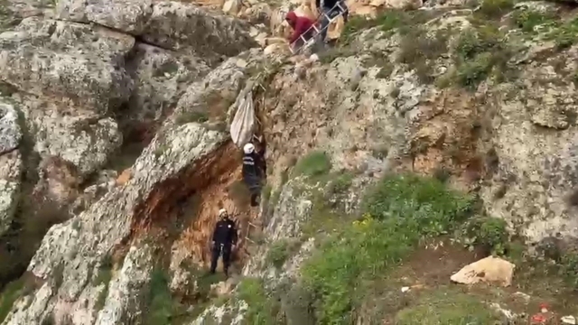 Uçurumdan düşen köpek 4 saatlik çalışmayla kurtarıldı