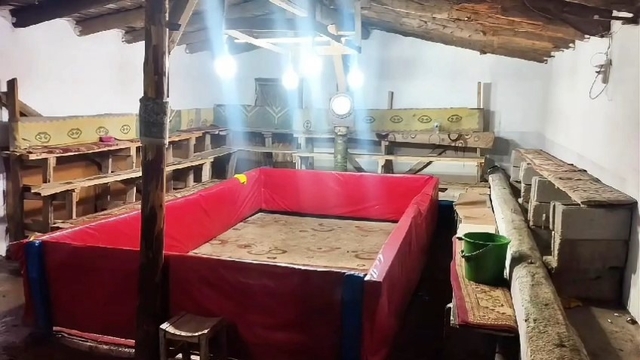 Muş'ta horoz dövüşü yapan 23 kişiye ceza