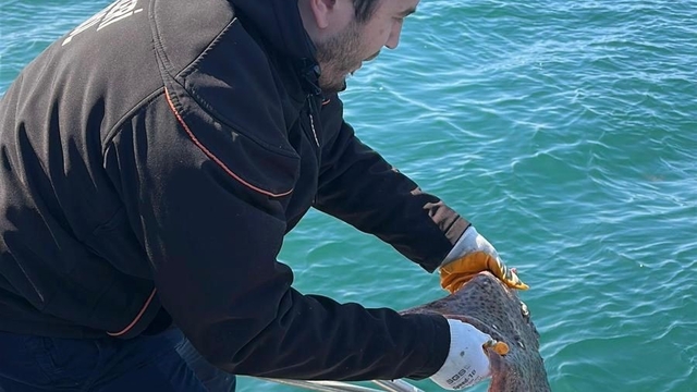 Marmara Denizi'nde kullanılan kaçak av aracı yakalandı