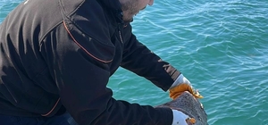 Marmara Denizi’nde kullanılan kaçak av aracı yakalandı