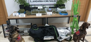 Eskişehir’de uyuşturucu operasyonu