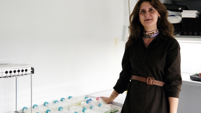 BŞEÜ akademik alanda önemli bir başarıya imza attı